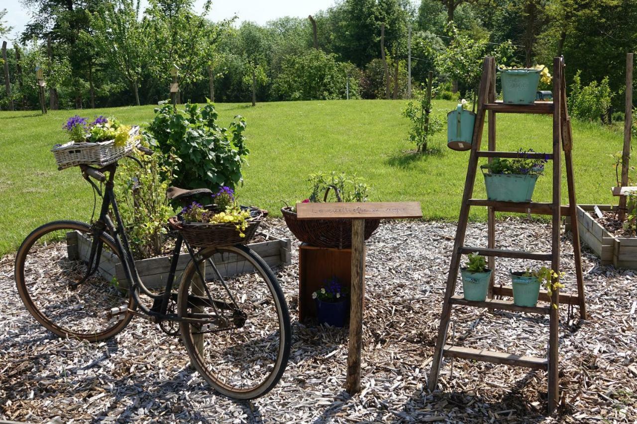Hotel Le Manoir Des Aromes Brugny-Vaudancourt Esterno foto